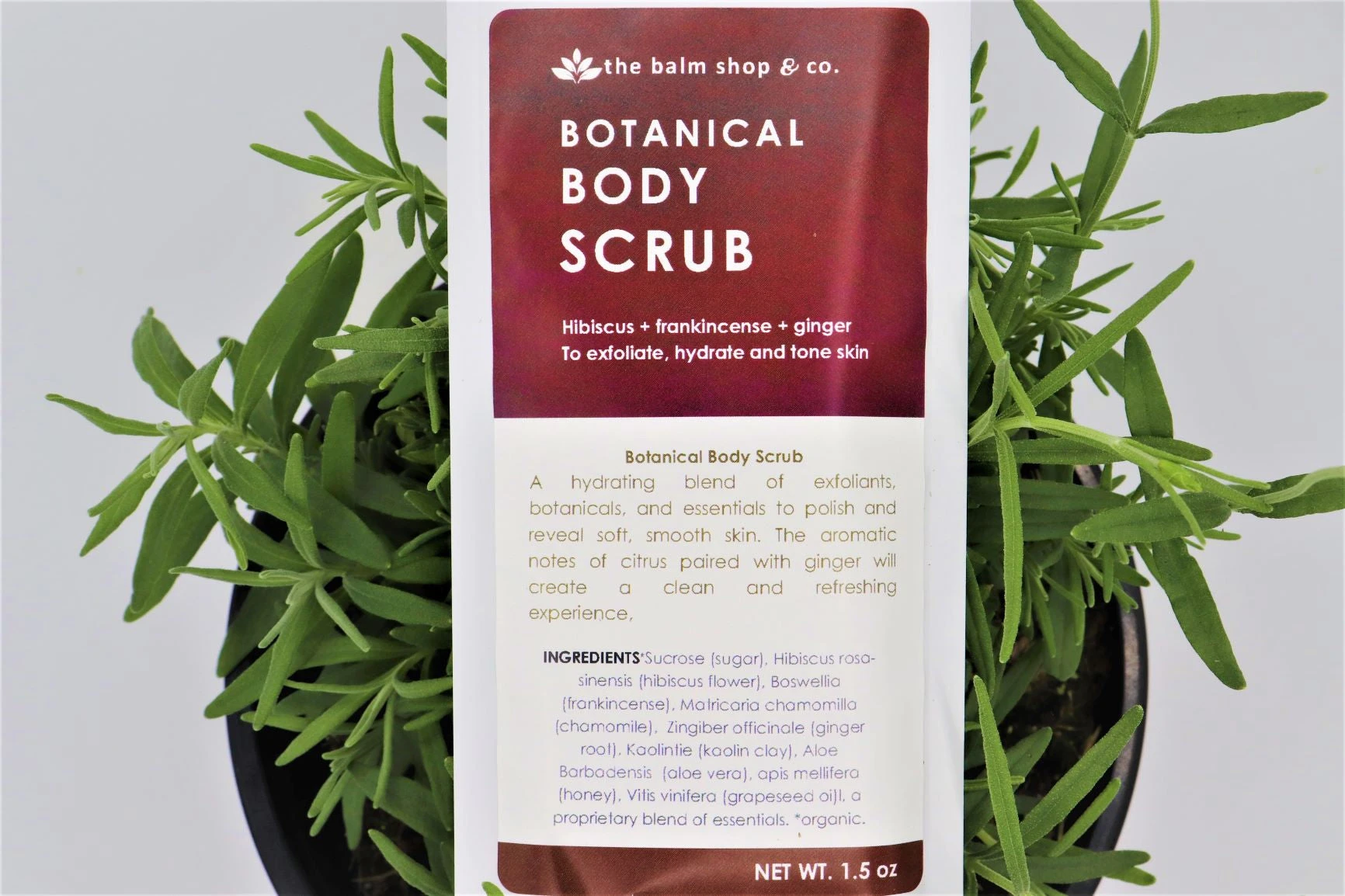 Botanical Body Scrub - Detroit Kindred